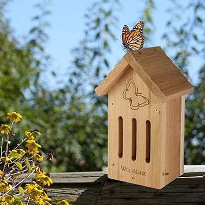 Audubon WoodLink Butterfly House DIY Craft Kit with butterfly on top, ideal for kids' outdoor activities.