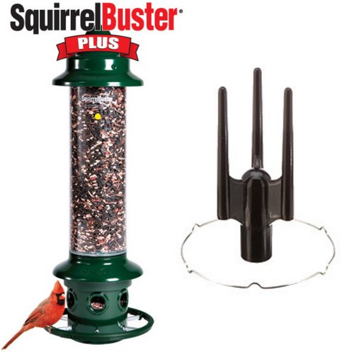 Brome 1024 Squirrel Buster Plus Bird Feeder and Pole Adapter Kit - JCS Wildlife