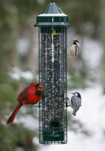 Birds feeding on a Brome Squirrel Buster Classic Squirrel Proof Bird Feeder 1015 in a snowy outdoor setting.