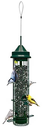 Brome Squirrel Buster Classic Squirrel Proof Bird Feeder 1015 with various birds clinging and perching on feeder filled with seed