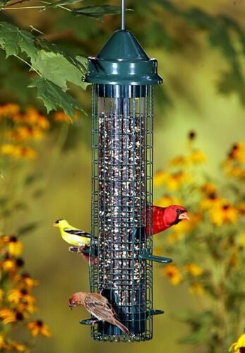 Squirrel Buster Classic Squirrel Proof Bird Feeder 1015 with birds feeding, surrounded by colorful flowers and greenery.