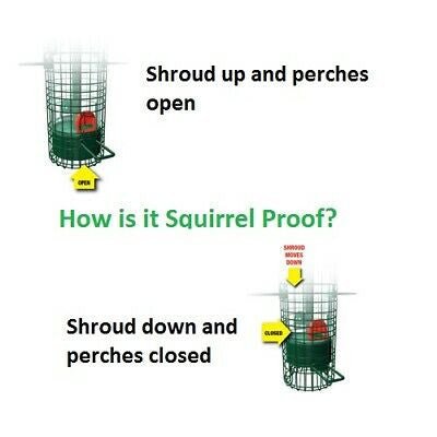 Diagram illustrating Brome Squirrel Buster Classic Bird Feeder with shroud positions showing open perches for birds and closed to prevent squirrels.