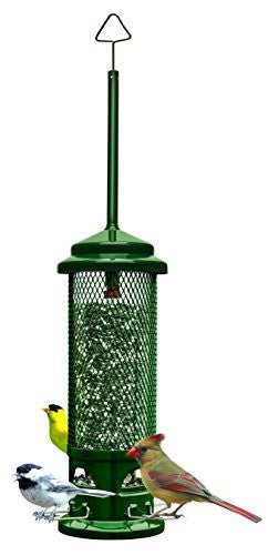 Brome Squirrel Buster Legacy Wild Bird Feeder 1082 Squirrel Proof - JCS Wildlife