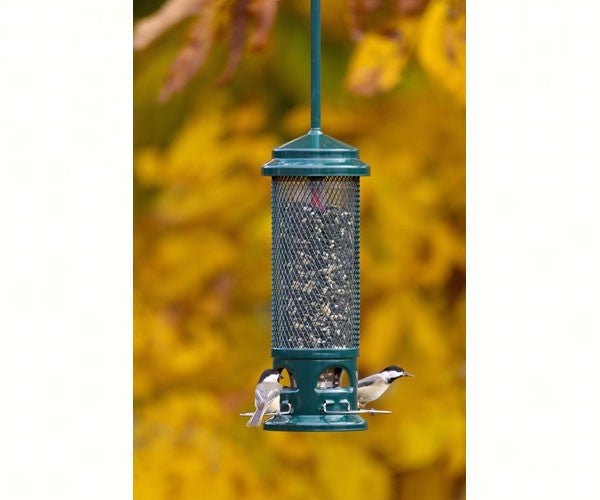 Brome Squirrel Buster Legacy Wild Bird Feeder 1082 Squirrel Proof - JCS Wildlife