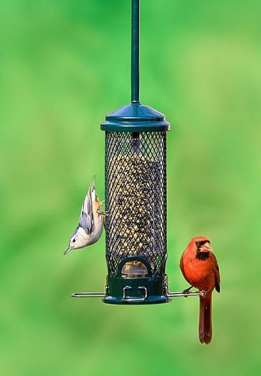 Brome Squirrel Buster Mini Bird Feeder 1055 with birds feeding, showcasing its squirrel-proof design and compact size.