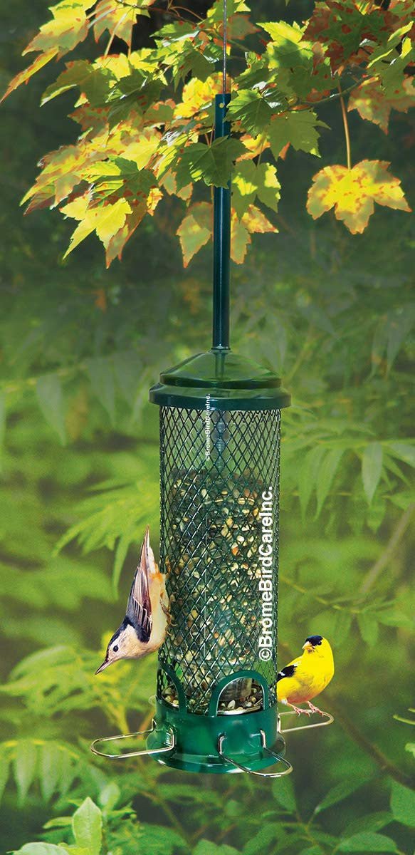 Brome Squirrel Buster Mini Bird Feeder 1055, squirrel-proof design attracting various birds in a green outdoor setting.