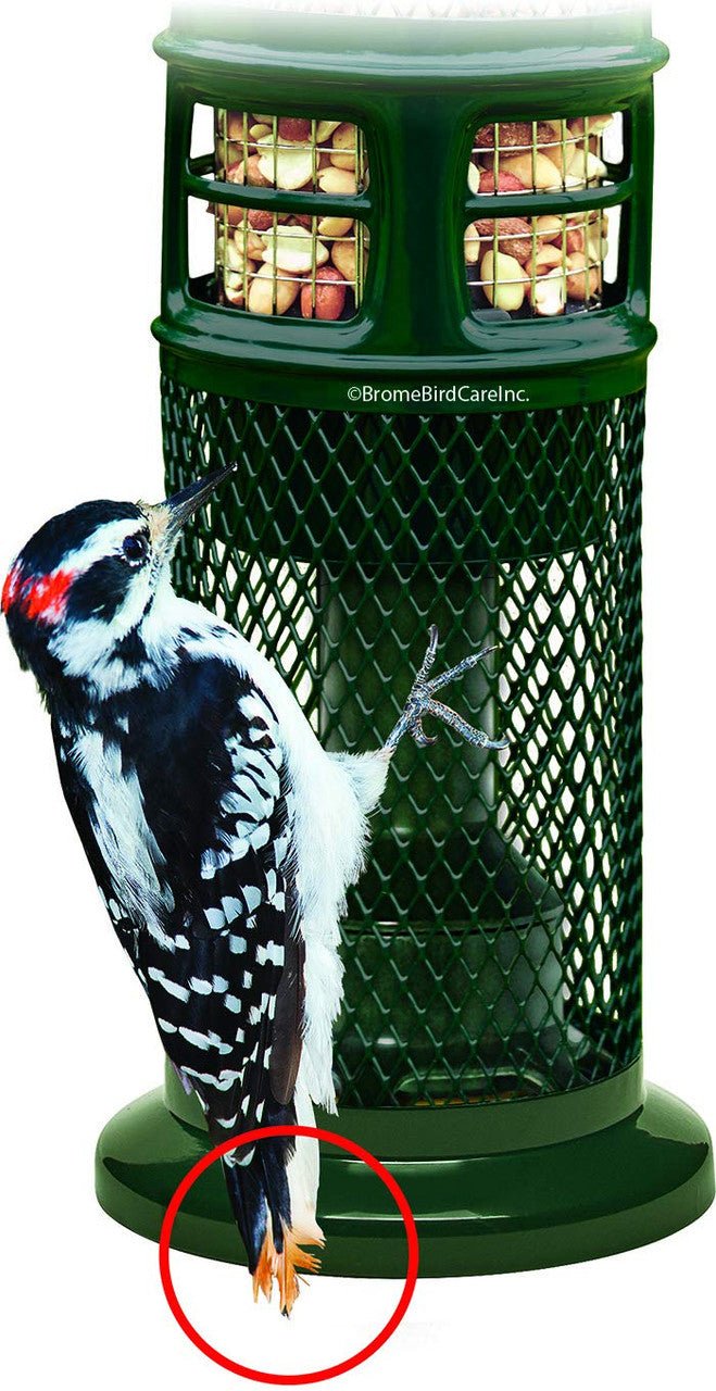 Brome Squirrel Buster Nut Feeder 1053 Squirrel-Proof Bird Feeder for Nuts and Fruit, Two Meshes - JCS Wildlife