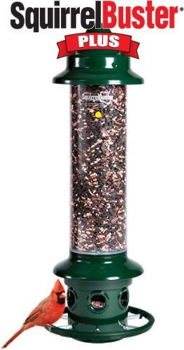 Brome Squirrel Buster Plus Bird Feeder with Multi-feeding Ports, Weather Guard, and Pole Adapter