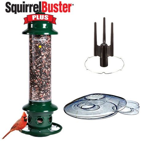 Brome Squirrel Buster Plus Bird Feeder Kit with Weather Guard and Pole Adapter - JCS Wildlife