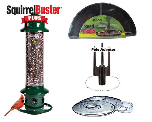Brome Squirrel Buster Plus Bird Feeder Kit with Weather Guard, Seed Buster Tray, Pole Adapter, and Cardinal Bird