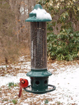 Brome Squirrel Buster Plus Bird Feeder w/ Cardinal Perch Ring 1024 - Squirrel Proof - JCS Wildlife