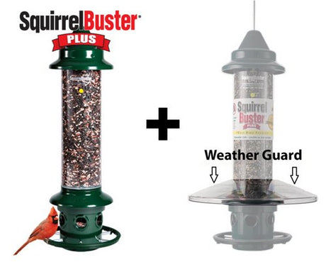 Brome Squirrel Buster Plus Bird Feeder with Weather Guard for birding and squirrel-proof feeding.