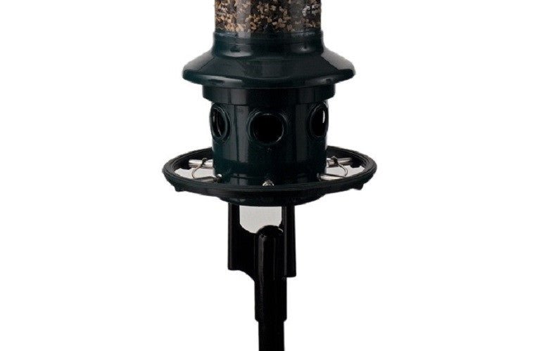 Brome Squirrel Buster Plus mounted on a 1" pole with rust-proof pole adapter and stainless steel mid ring to prevent squirrel access.