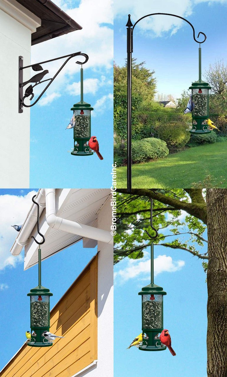 Brome Squirrel Buster Standard Bird Feeder 1057 in various outdoor locations with birds feeding