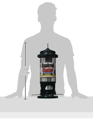 Brome Squirrel Buster Standard Bird feeder 1057 Squirrel Proof, 22 inches tall compared to human silhouette background.