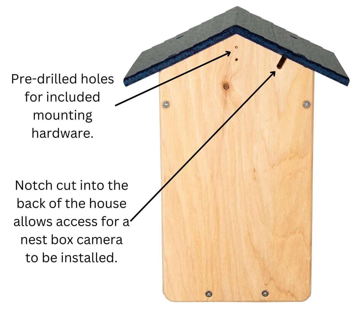 Cedar Ultimate Bluebird House (Blue) showing pre-drilled holes and notch for camera installation.