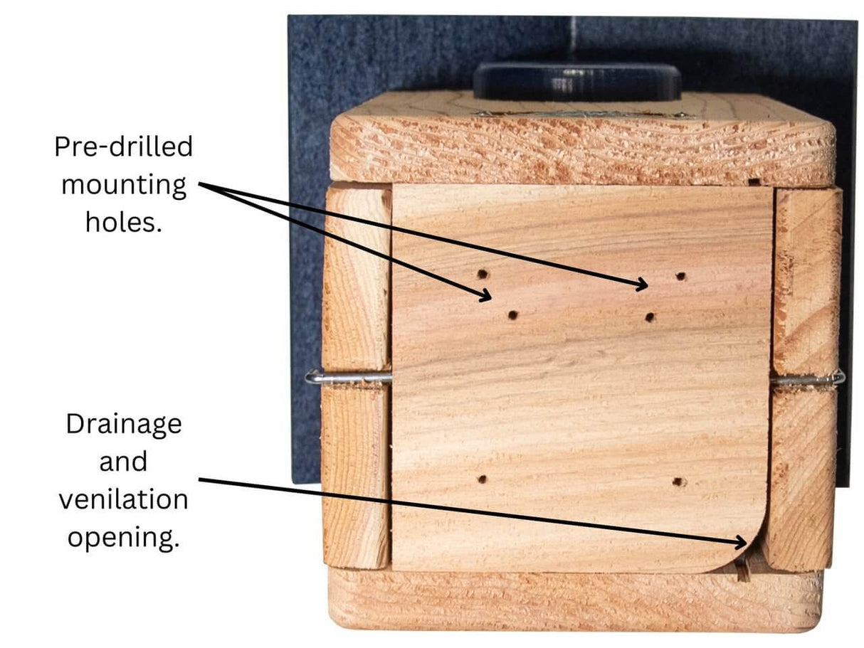 Close-up of Cedar Ultimate Bluebird House showing pre-drilled holes and drainage openings for easy installation and ventilation.