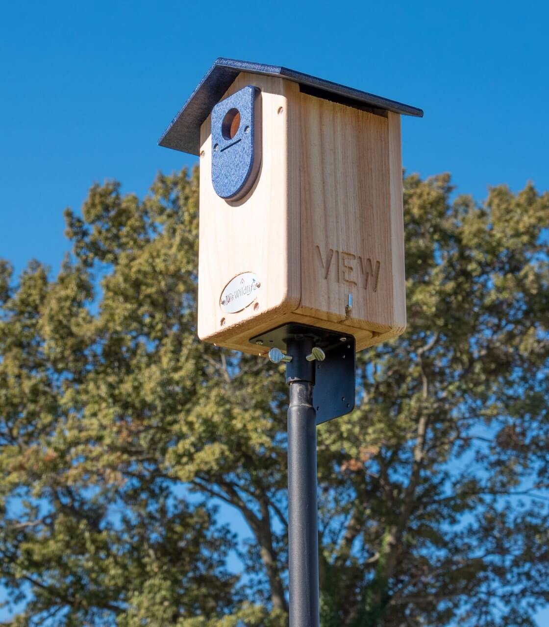 Cedar Ultimate Bluebird House with viewing window, mounted on pole, features predator guard, set against a blue sky.