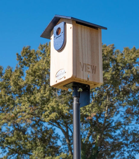 Cedar Ultimate Bluebird House with viewing window, mounted on pole, features predator guard, set against a blue sky.