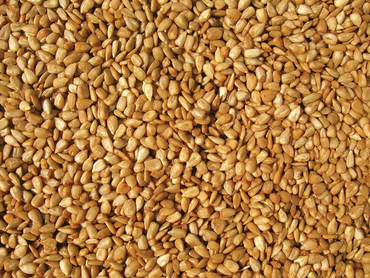 Close-up of nutritive sunflower meats, ideal for birds, featured in Cole's Hot Meats Bird Seed 20 lb Bag HM20.