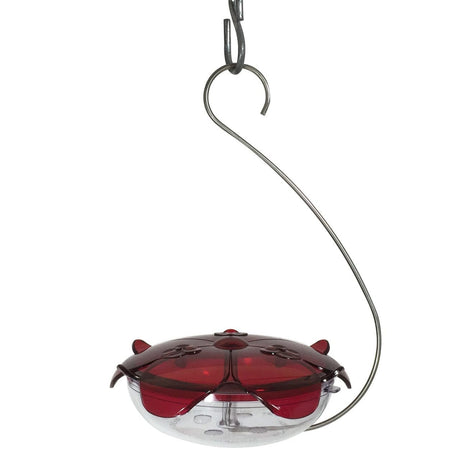 Droll Yankees Ruby Sipper Hummingbird Hanging Feeder in clear and red with 5 oz. capacity, ideal for attracting hummingbirds