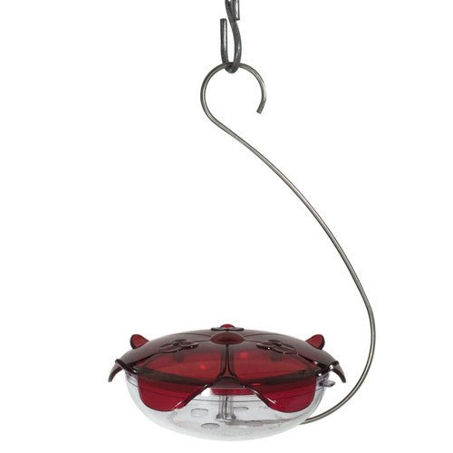 Droll Yankees Ruby Sipper Hummingbird Hanging Feeder, clear dish showing nectar level, 5 oz capacity, leak-proof design