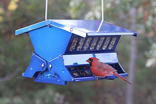 Electric Blue Woodlink Absolute II Squirrel Resistant Bird Feeder Model 7537 with a red bird perched on it in a natural setting.