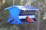 Electric Blue Woodlink Absolute II Squirrel Resistant Bird Feeder Model 7537 - JCS Wildlife