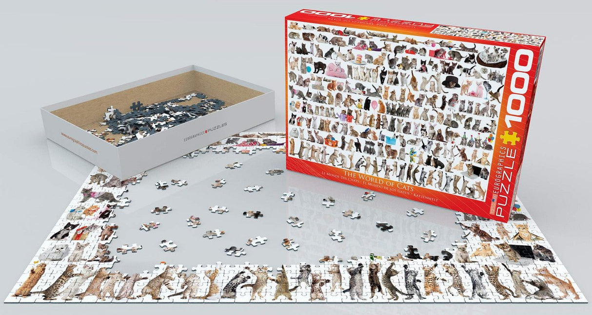 EuroGraphics The World of Cats 1000-piece jigsaw puzzle with box and partially completed puzzle displaying various cat breeds.