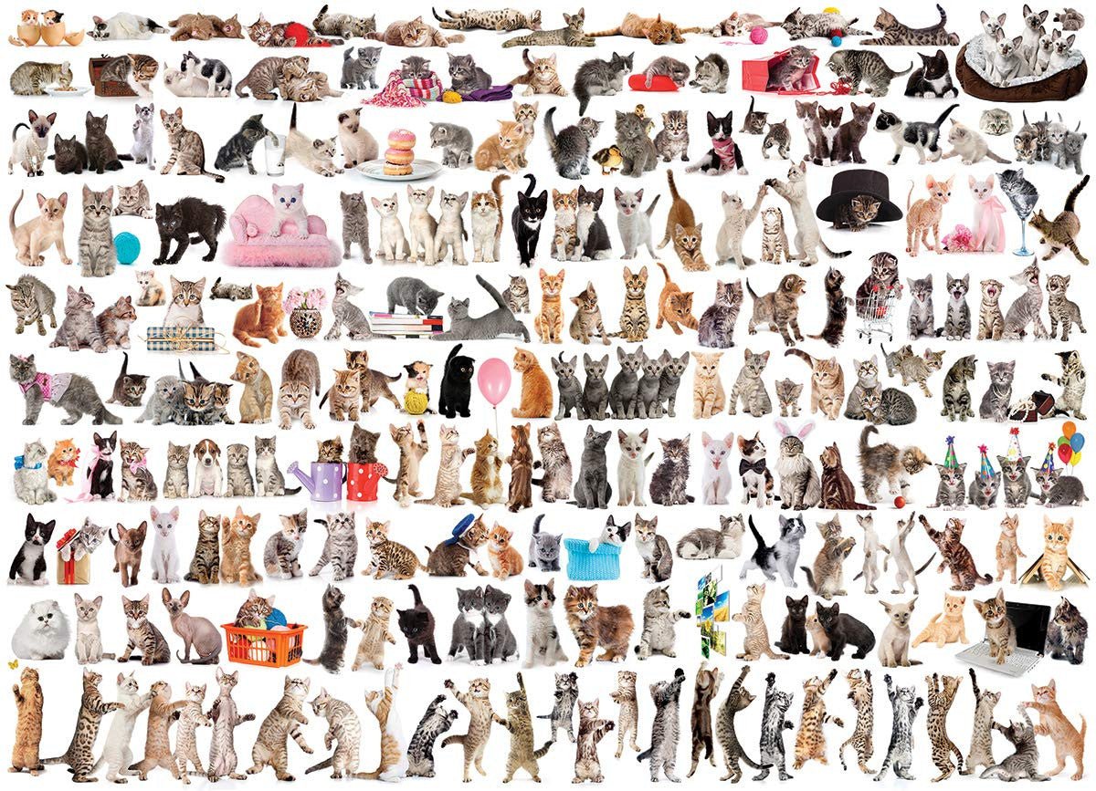 EuroGraphics World of Cats 1000-piece jigsaw puzzle with 120 cat breeds, featuring strong high-quality pieces made from recycled board.