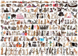 EuroGraphics The World of Cats Jigsaw Puzzle (1000-Piece) - JCS Wildlife