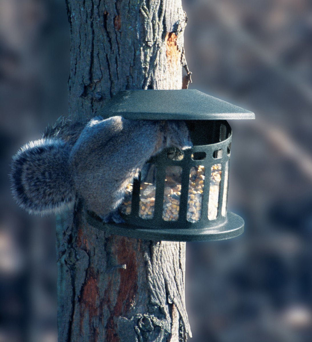 Heritage Farms Squirrel Diner, Squirrel Feeder 75590 - JCS Wildlife