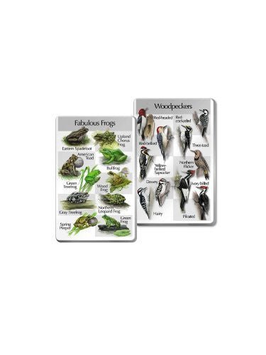 Identiflyer Lyric 2 Super SongCards showing various frogs and woodpeckers with detailed illustrations and names