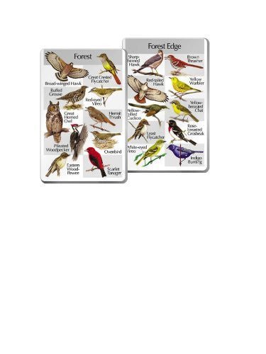 Identiflyer Lyric 3 Super SongCard Set showing Forest and Forest Edge birds such as Broad-Winged Hawk and Sharp-Shinned Hawk