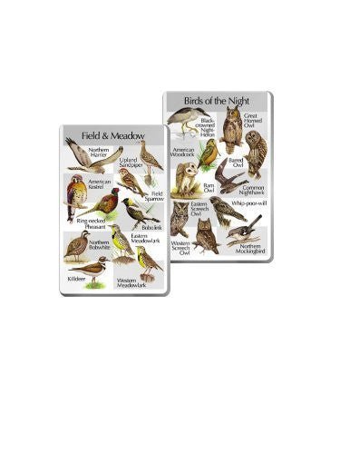 Identiflyer Lyric 3 Super SongCard Set showing Field & Meadow and Birds of the Night bird identification cards with various birds