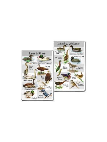Identiflyer Lyric 3 Super SongCard Set featuring Lakes & Rivers and Marsh & Wetlands bird identification cards with illustrations.