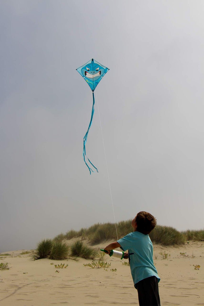 Child flying a blue kite in a sandy beach area using In The Breeze 30 LB x 500' Twisted Kite Line on a spool