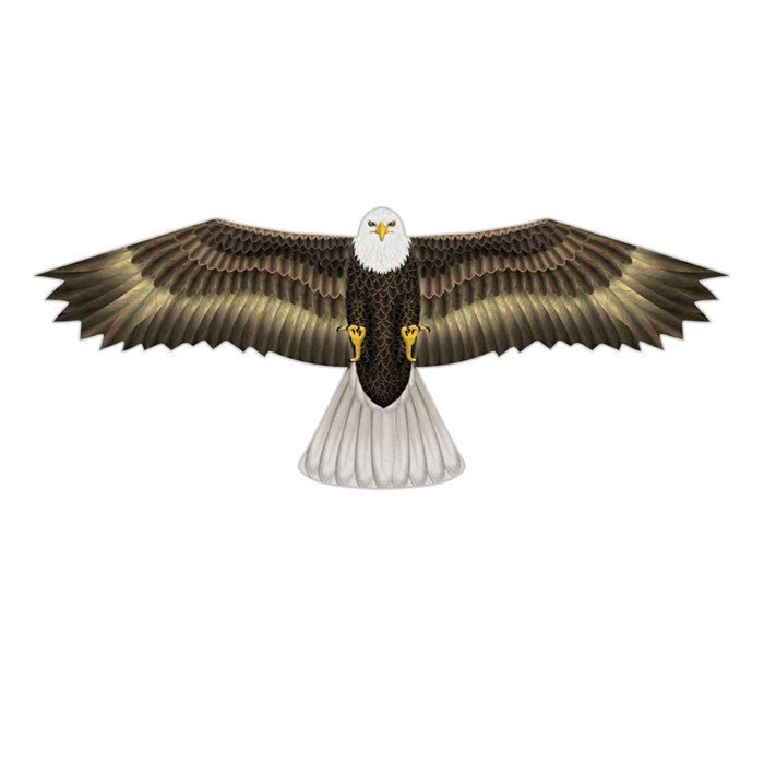 In The Breeze 3D Supersize Eagle Kite with realistic details and large wingspan.