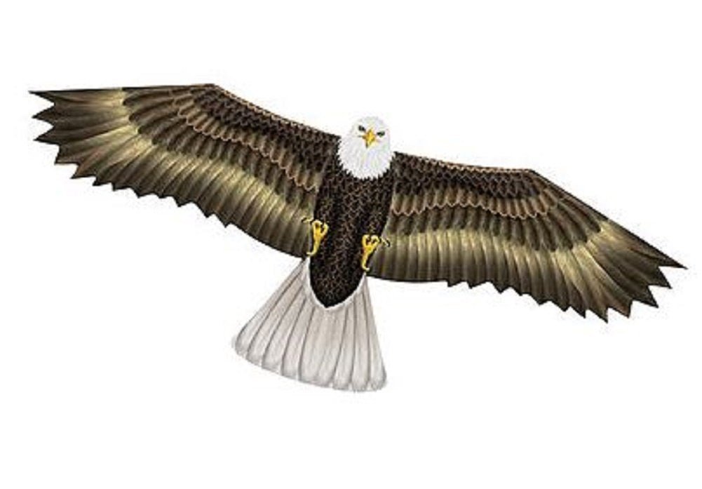In The Breeze 3D Supersize Eagle Kite soaring with detailed wings, part of the X-Kites WindNSun line, perfect for kite enthusiasts