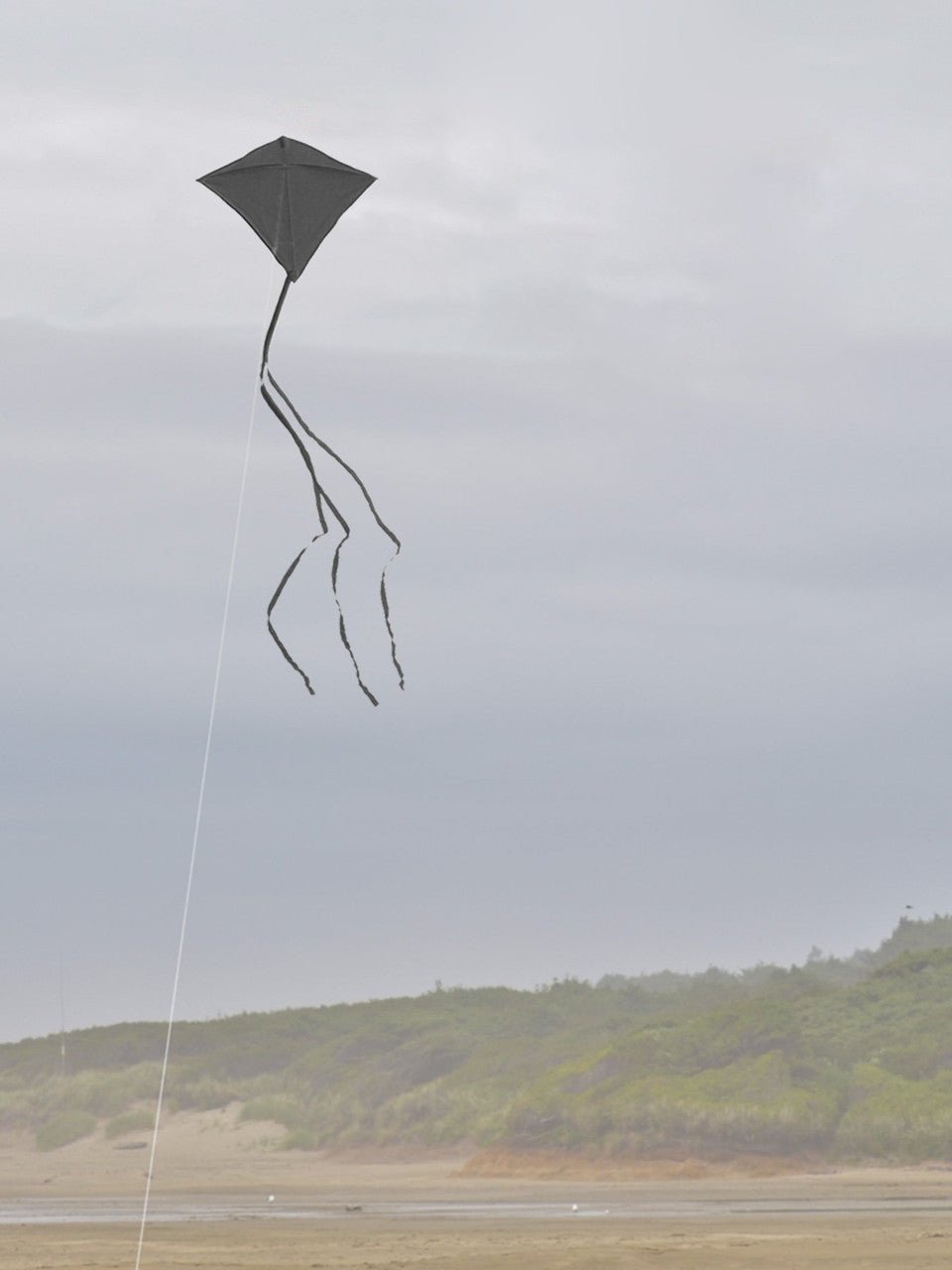 Black Colorfly diamond kite with three 12' tails flying on a beach against a cloudy sky