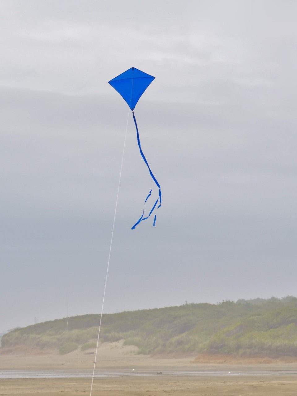 In the Breeze Blue Colorfly 30" Diamond Kite with three 12' tails flying on a windy day on the beach.