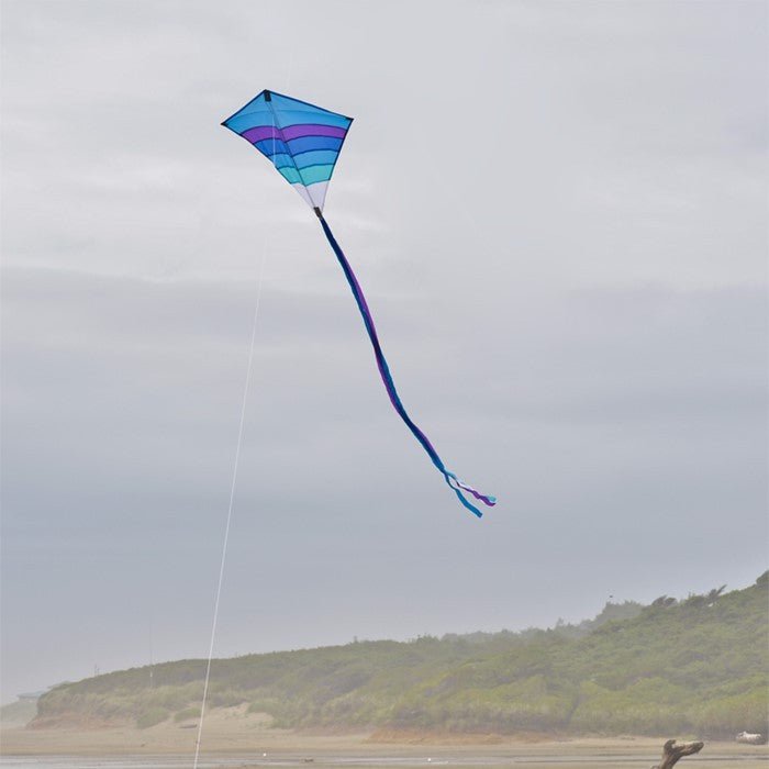 In The Breeze Cool Arch 27" Diamond Kite - JCS Wildlife