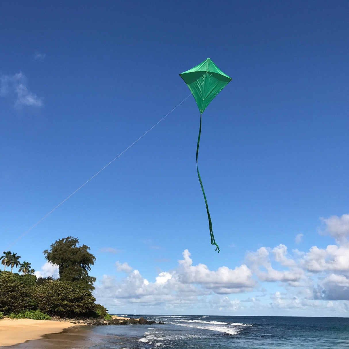 Green Colorfly 30" Diamond Kite with 12' tails flying over beach and ocean under clear blue sky
