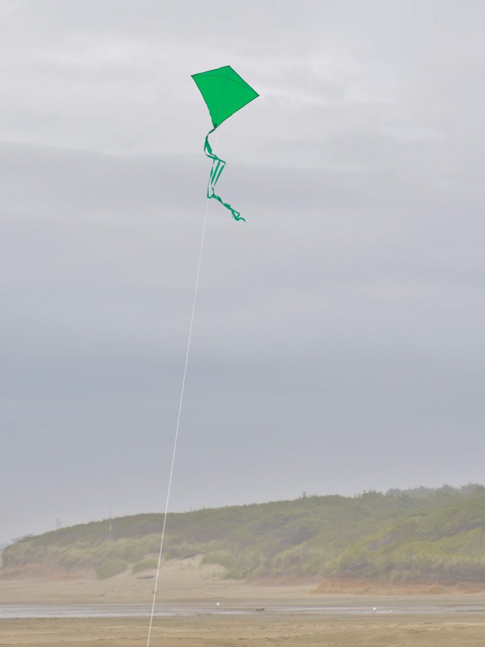 In the Breeze Green Colorfly 30" Diamond Kite flying with three 12' tails on a windy day at the beach