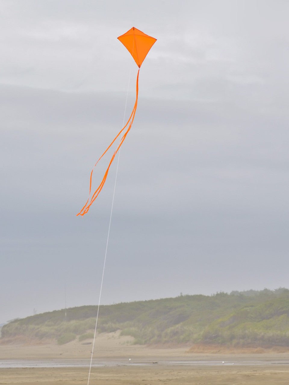 In the Breeze Orange Colorfly 30" Diamond Kite with orange tails flying breezily on a beach.