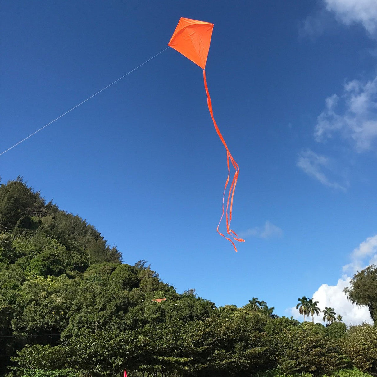 In the Breeze Orange Colorfly 30" Diamond Kite with three 12' orange tails flying over a green hillside under a clear blue sky