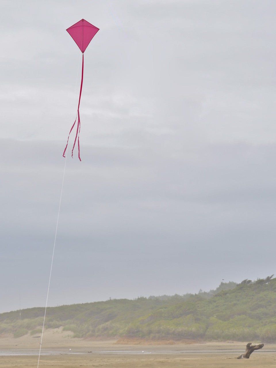 In the Breeze Pink Colorfly 30" Diamond Kite - JCS Wildlife