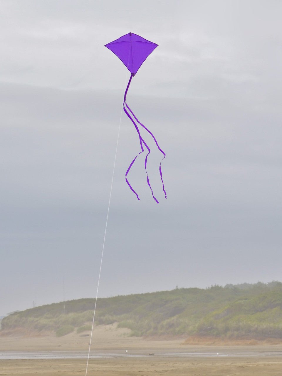Purple Colorfly diamond kite with 12' tails flying at the beach on a windy day