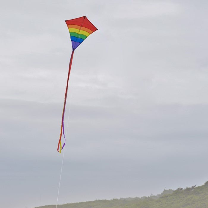 In The Breeze Rainbow Arch 27" Diamond Kite - JCS Wildlife