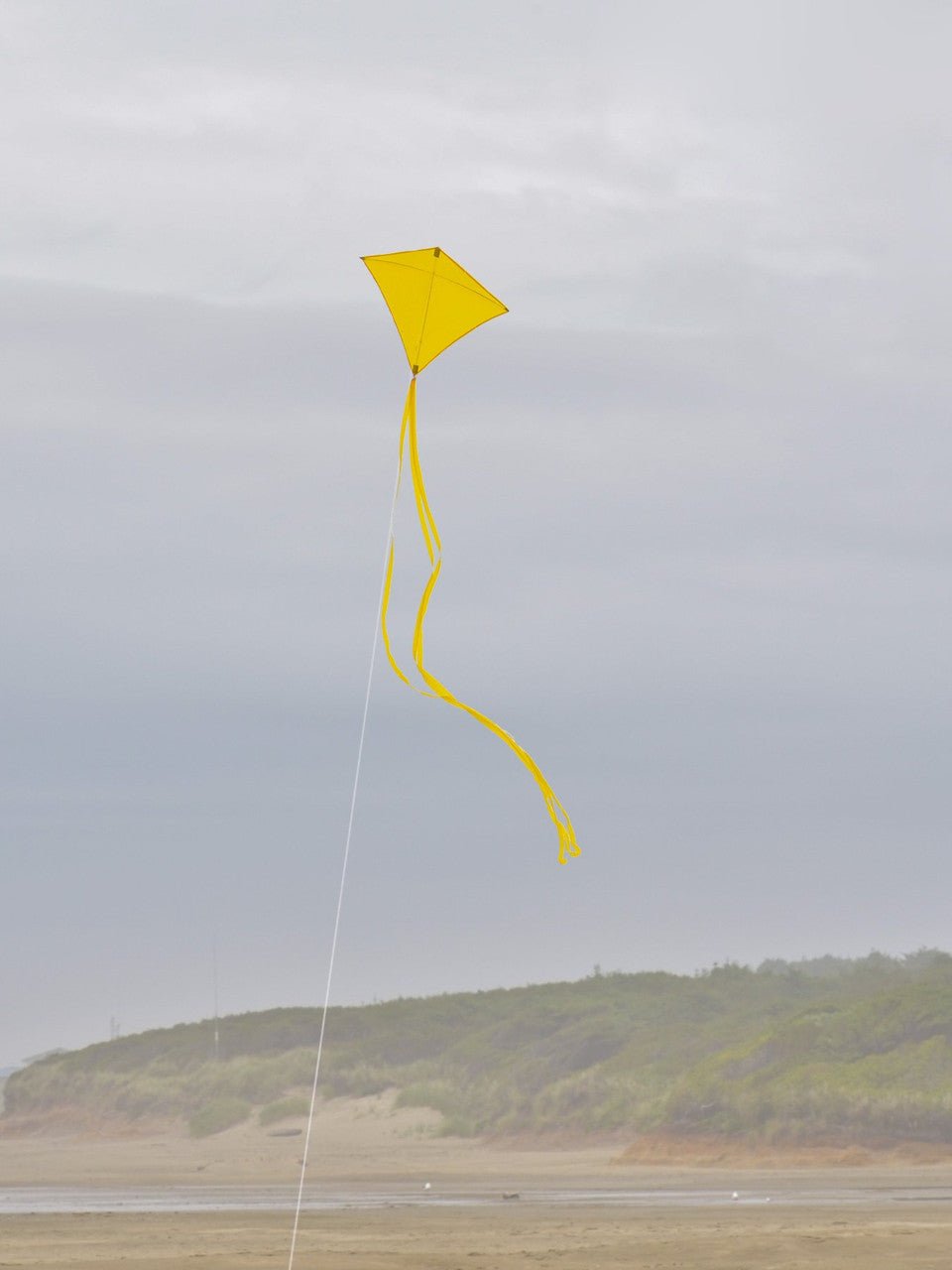 Yellow Colorfly 30" Diamond Kite from In the Breeze with 12' yellow tails flying high in a cloudy sky at the beach.